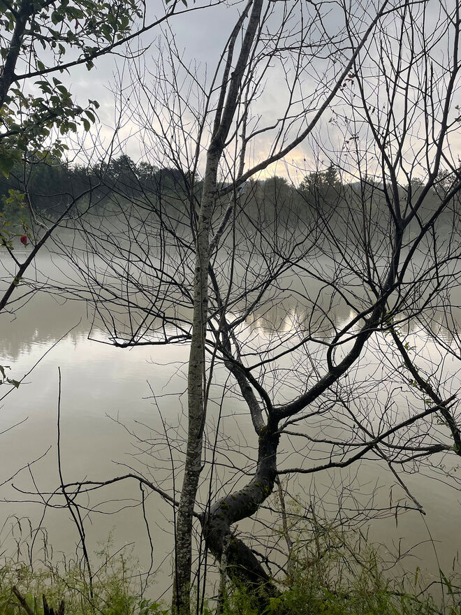 Morgendunst