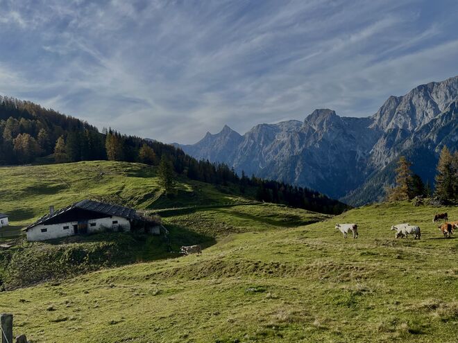 Ein schönes Platzerl