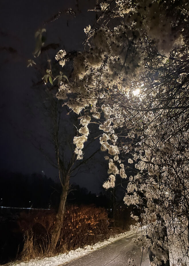 Morgenspaziergang