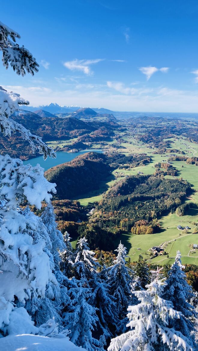 Herbstlaub vs Schnee