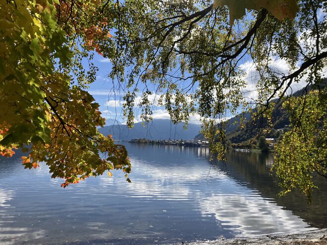 Herbstlicher Blick nach Zell