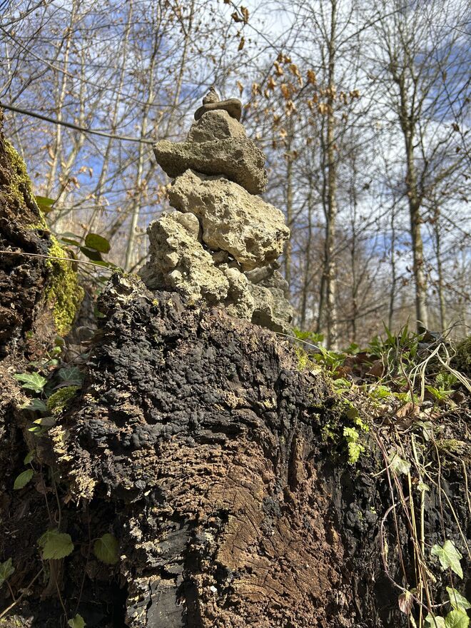 Kunst auf Totholz