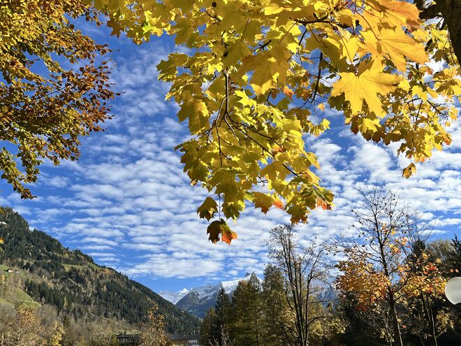 Ein goldener Vorhang