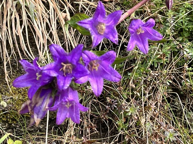 Die letzten sind die Schönsten