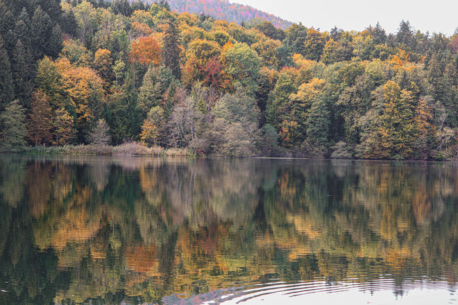 Schöner Herbst....