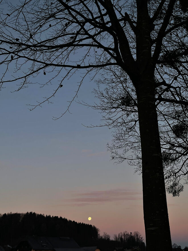 Als sich der Wolfsmond verabschiedete