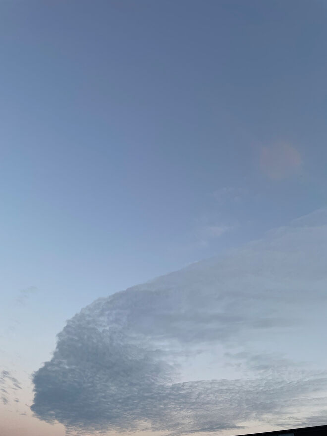 Windsbraut