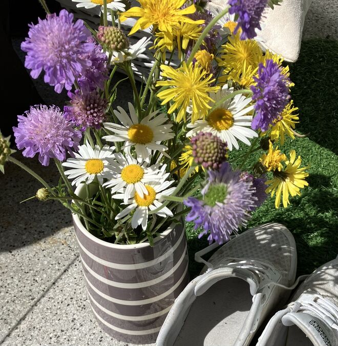 Wiesenblumen