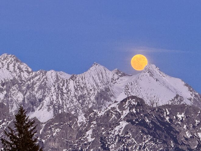 yellow moon