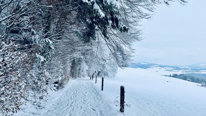 Winterspaziergang am Buchberg