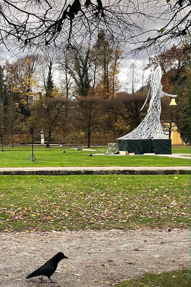 Traurige Krähe ?