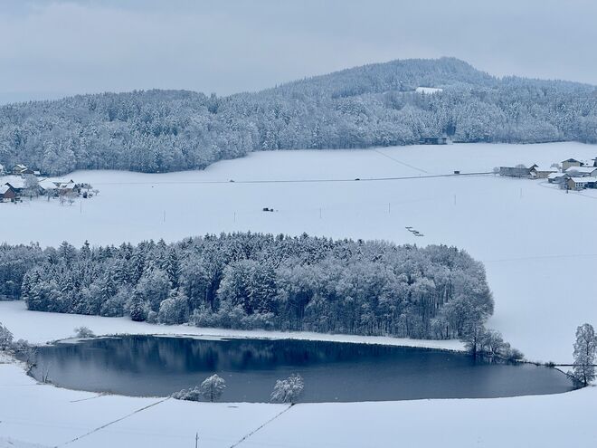 Schnee überall im Flachgau (Egelsee)