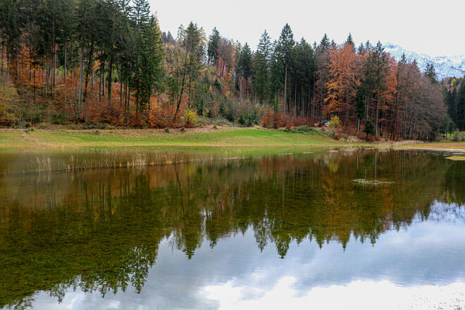 Der Wald im Herbstkleid...