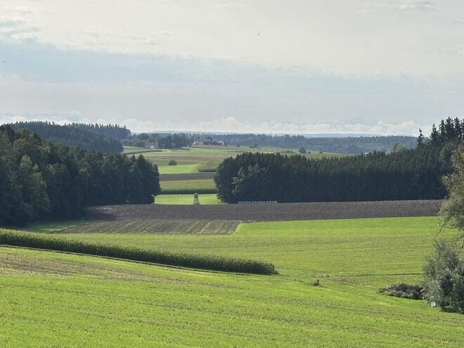 Die Landschaft sieht so friedlich aus!