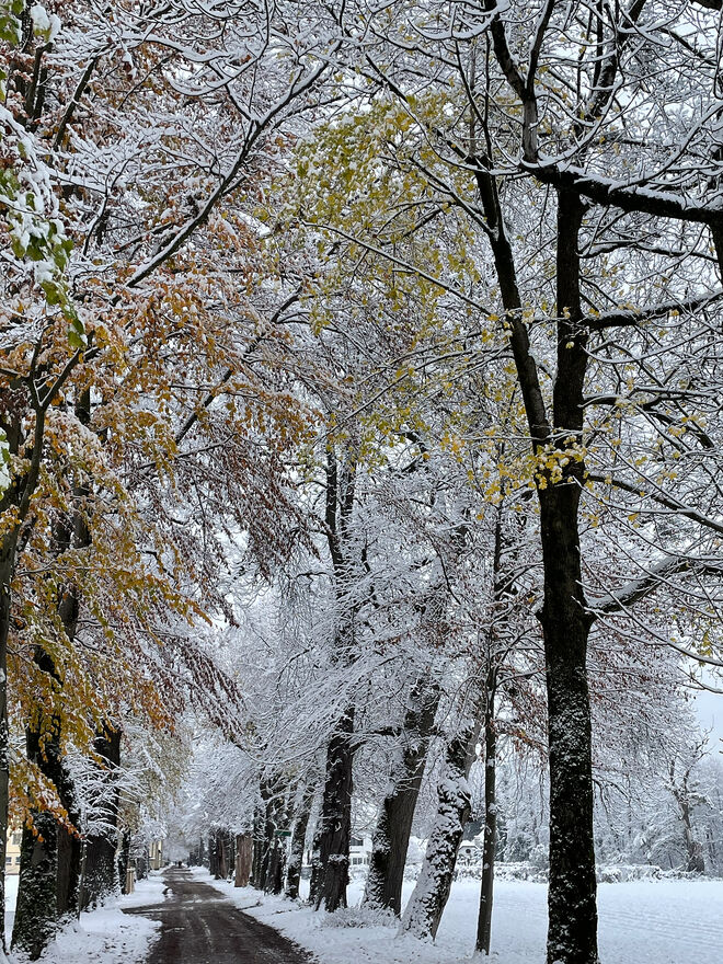 Verneigung vor dem Winter ; )