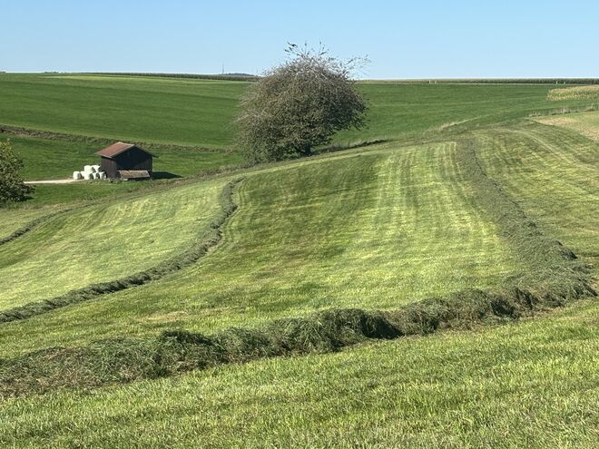 Die vielleicht letzte Mahd des Jahres