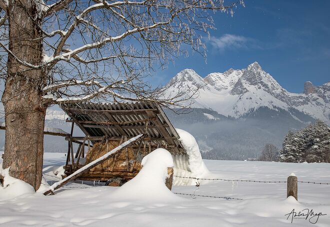 Den Winter genießen...
