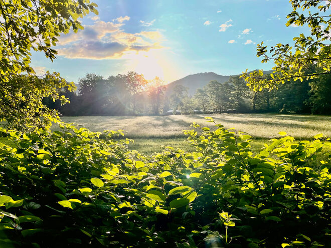 Morgensonne