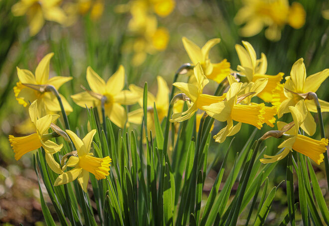 Frühling!