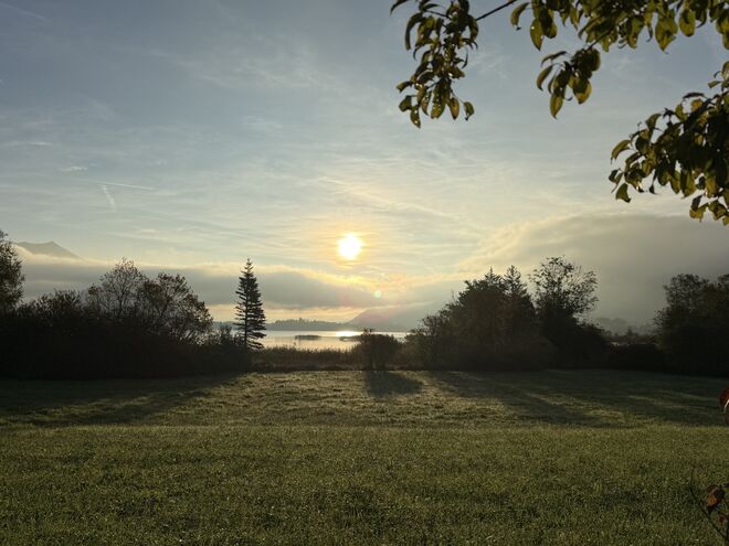 Morgenstimmung