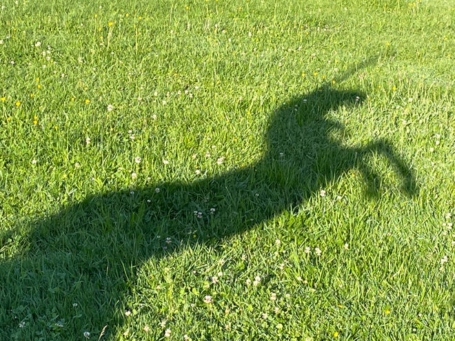 Rösselsprung ; )
