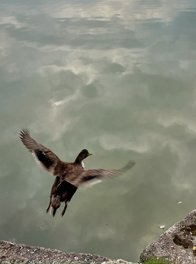 Up and away