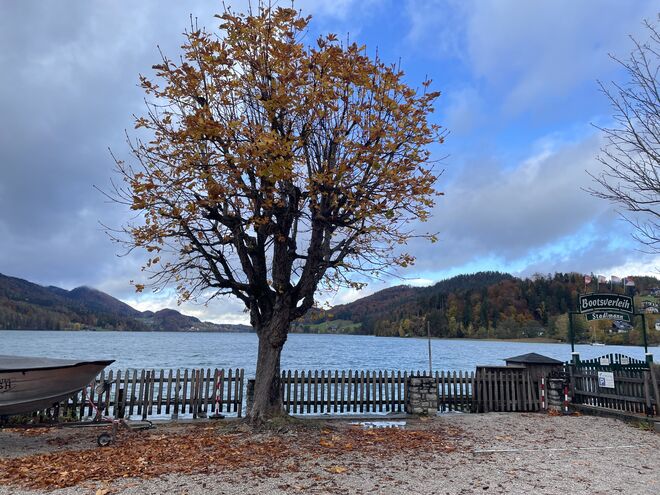 Herbst am See