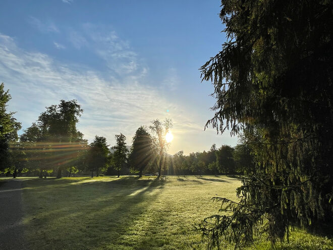 Strahlender Morgen