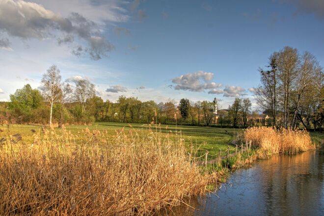 Abendsonne im Naturschutzgebiet am Obertrumer See