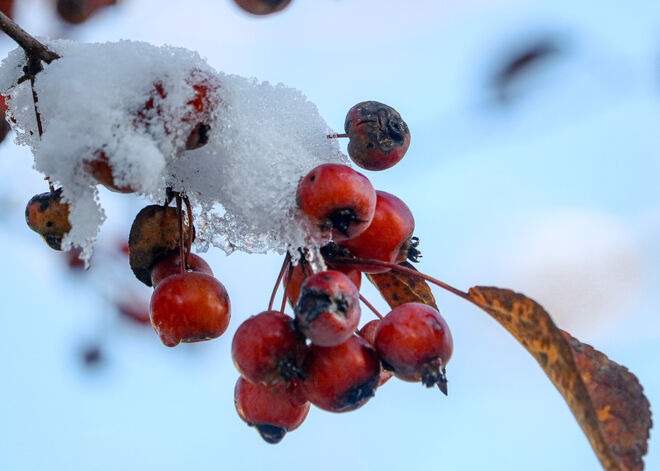 Winterstimmung