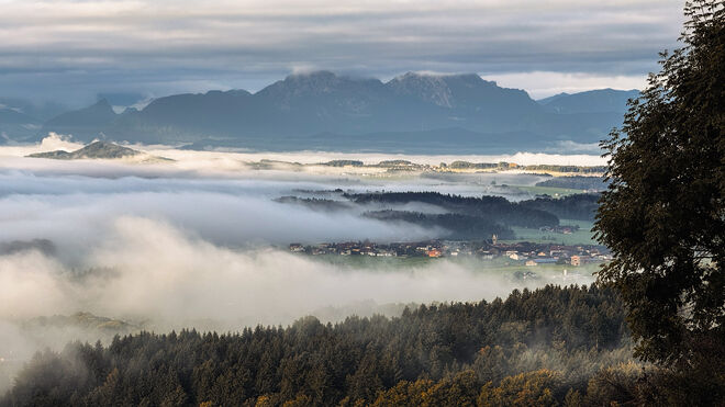 Morgennebel über dem Flachgau