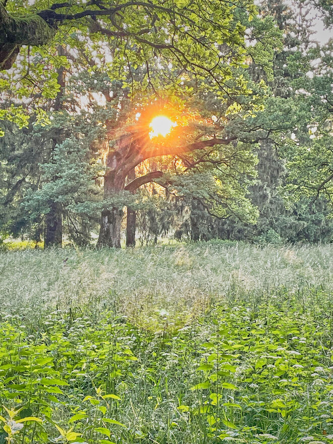 Goldene Stunde