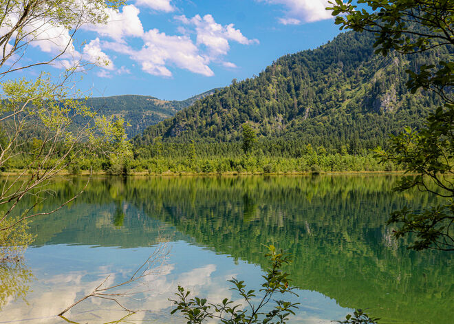 Ein fröhlicher Sommertag...