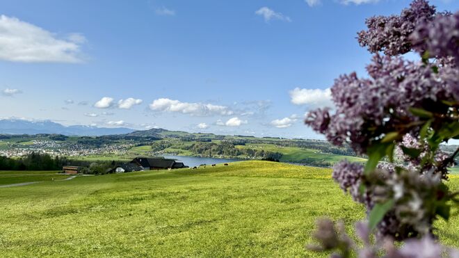 Blick auf den Obertrumersee und den Haunsberg