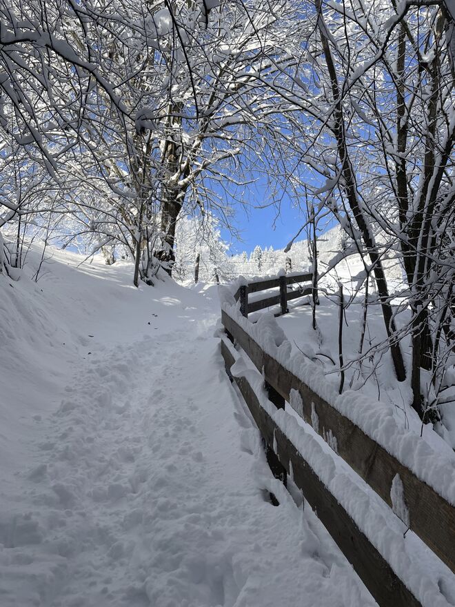 Wanderwege im Winter