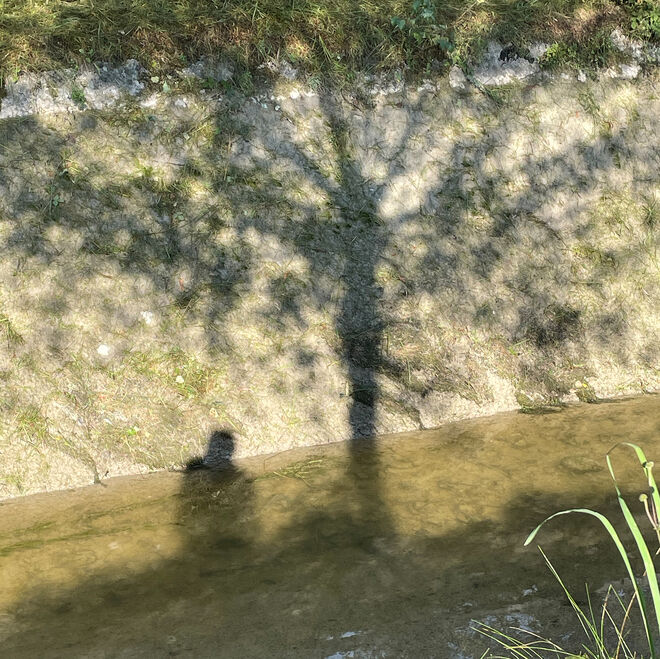 Almkanal