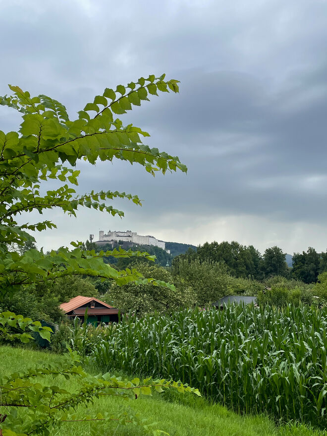 Vom Almkanal