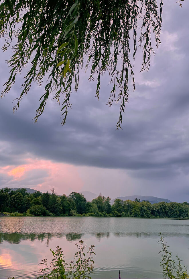 Am Lepiweiher
