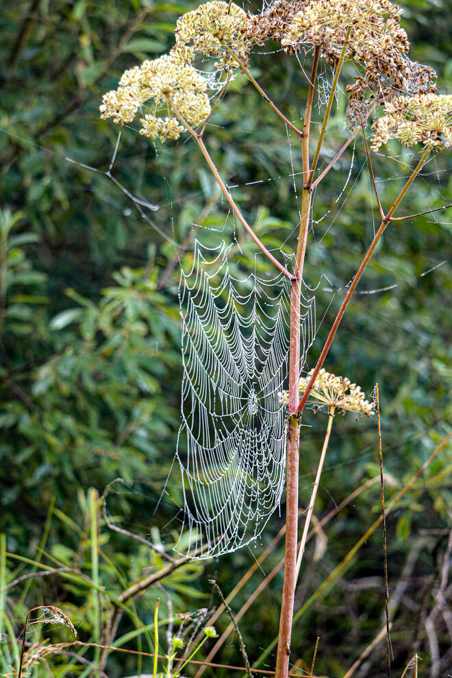 Eingesponnen und verpackt...
