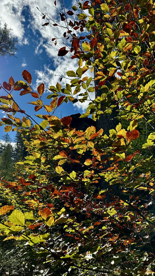 Untersulzbachtal