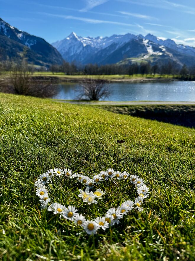 Willkommen Frühling !