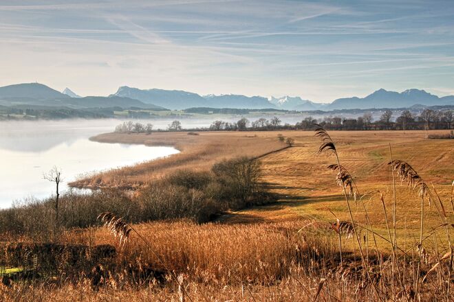 Blick auf das schöne Wenger Moor und den Wallersee
