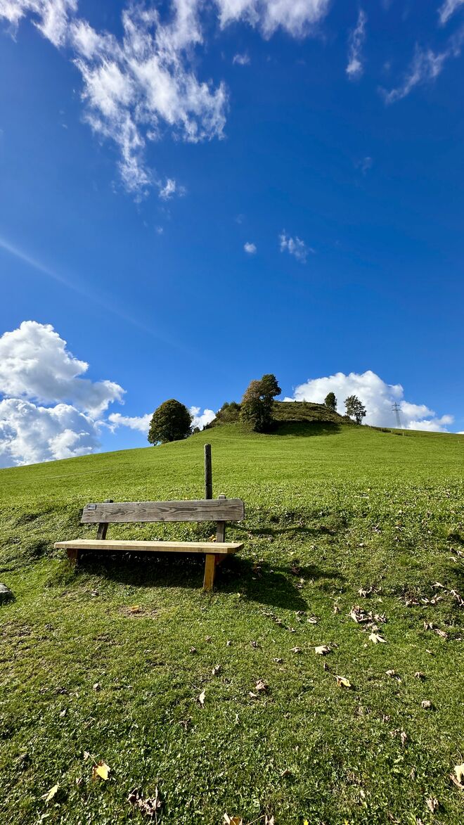 sonnigs Platzei