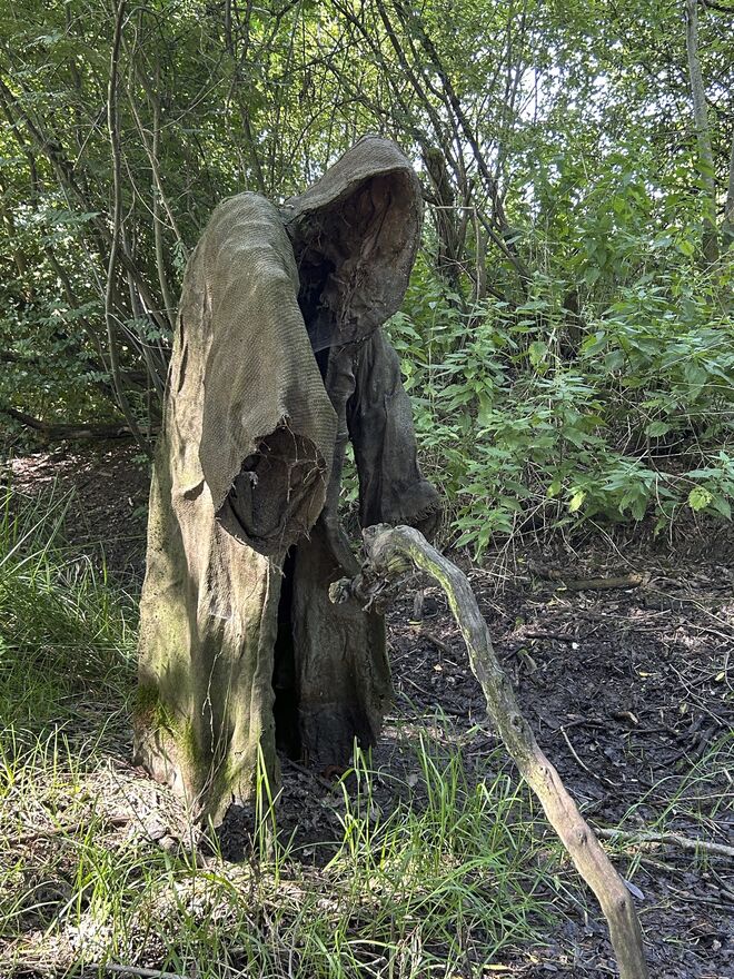 Im Abenteuerwald war’s abenteuerlich