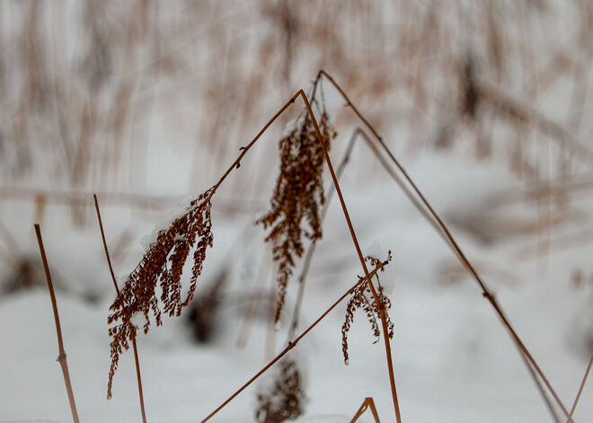 Tiefer Winter