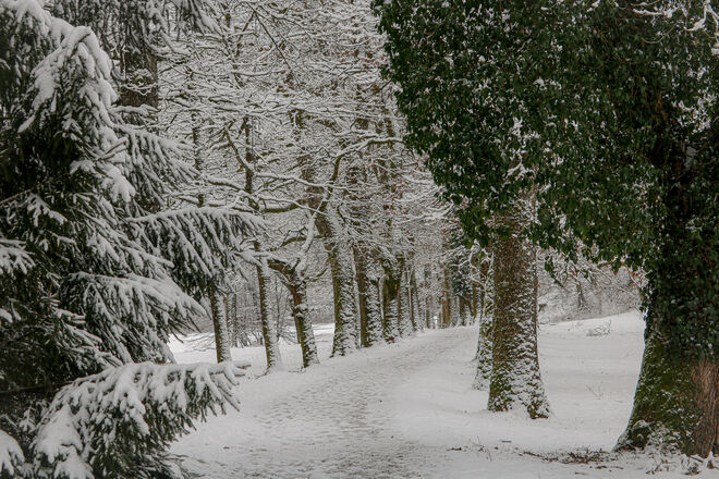 Der Winter ist zurück...