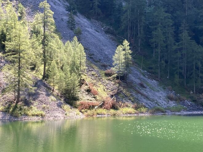 Licht- Schattenspiel am See