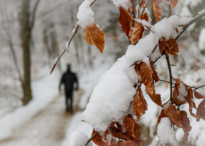 Winterwanderung