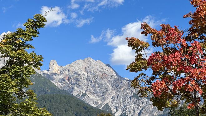 Herbstgenuss !