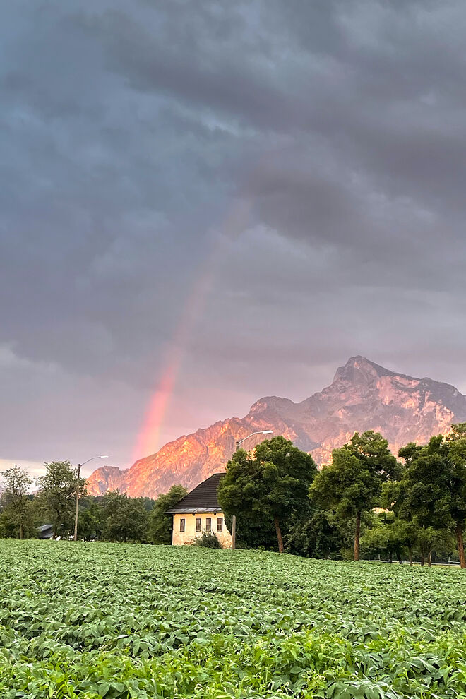 Regenbogen